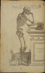 Andreas Vesalius ‘De humani corporis fabrica’ (On the fabric of the human body), 1555. Spread 2 verso